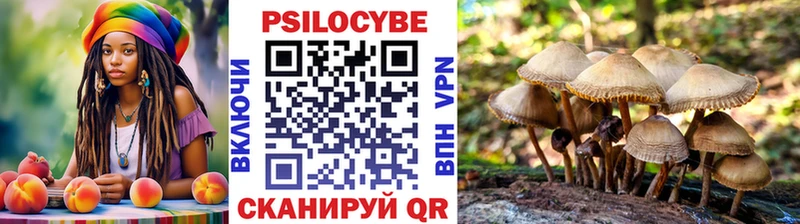 кракен ONION Чишмы Псилоцибиновые грибы MAGIC MUSHROOMS
